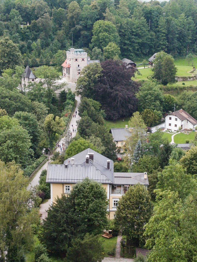 P7273074.jpg - OLYMPUS DIGITAL CAMERA