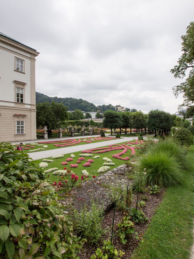 P7276663.jpg - OLYMPUS DIGITAL CAMERA