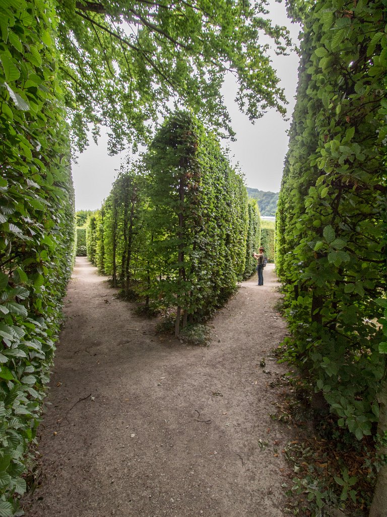 P7276674.jpg - OLYMPUS DIGITAL CAMERA