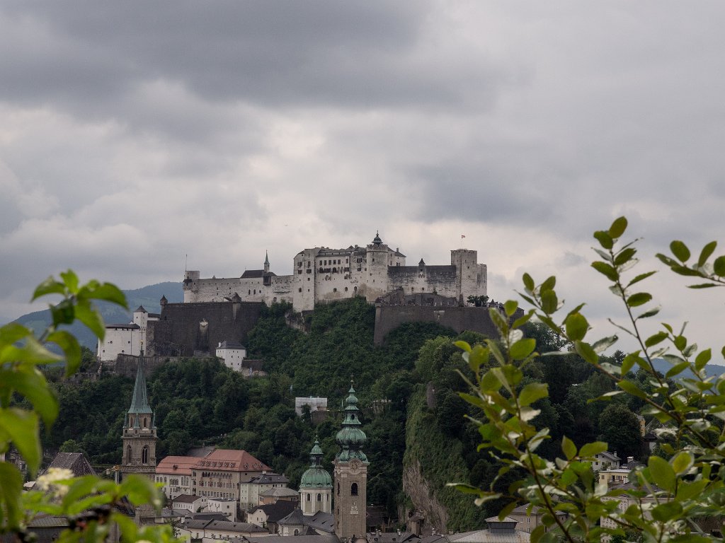 P7276691.jpg - OLYMPUS DIGITAL CAMERA