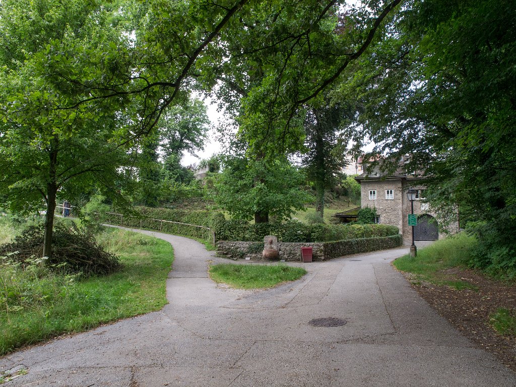 P7276781.jpg - OLYMPUS DIGITAL CAMERA