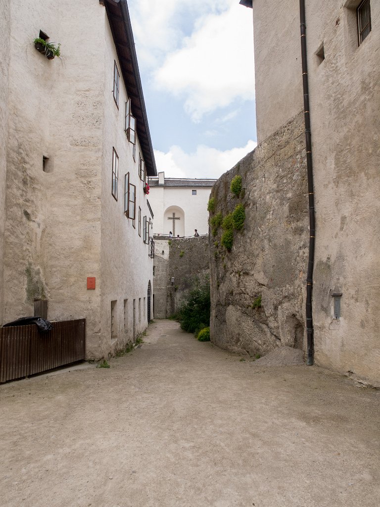 P7276866.jpg - OLYMPUS DIGITAL CAMERA