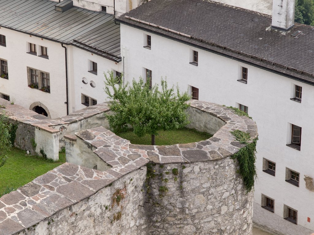 P7276939.jpg - OLYMPUS DIGITAL CAMERA