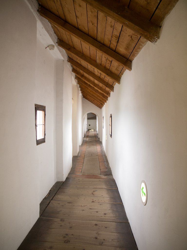 P7276957.jpg - OLYMPUS DIGITAL CAMERA