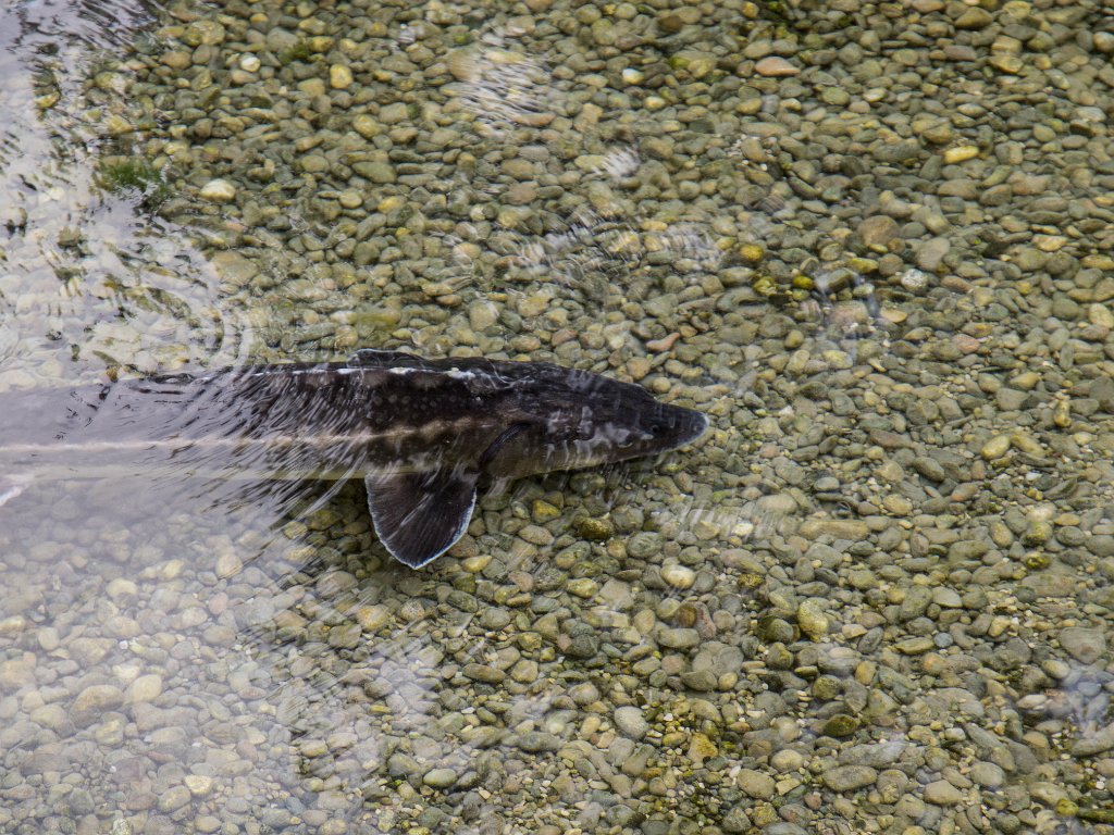 P7287130.jpg - OLYMPUS DIGITAL CAMERA