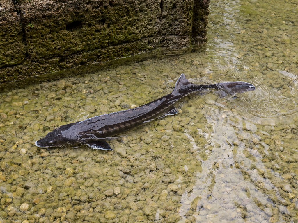 P7287164.jpg - OLYMPUS DIGITAL CAMERA