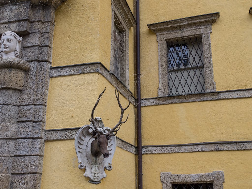 P7287189.jpg - OLYMPUS DIGITAL CAMERA