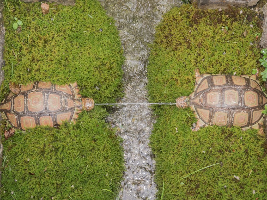 P7287203.jpg - OLYMPUS DIGITAL CAMERA