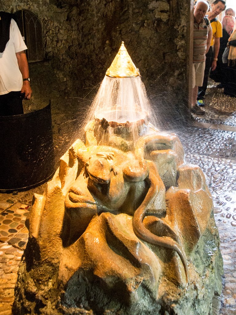 P7287240.jpg - OLYMPUS DIGITAL CAMERA