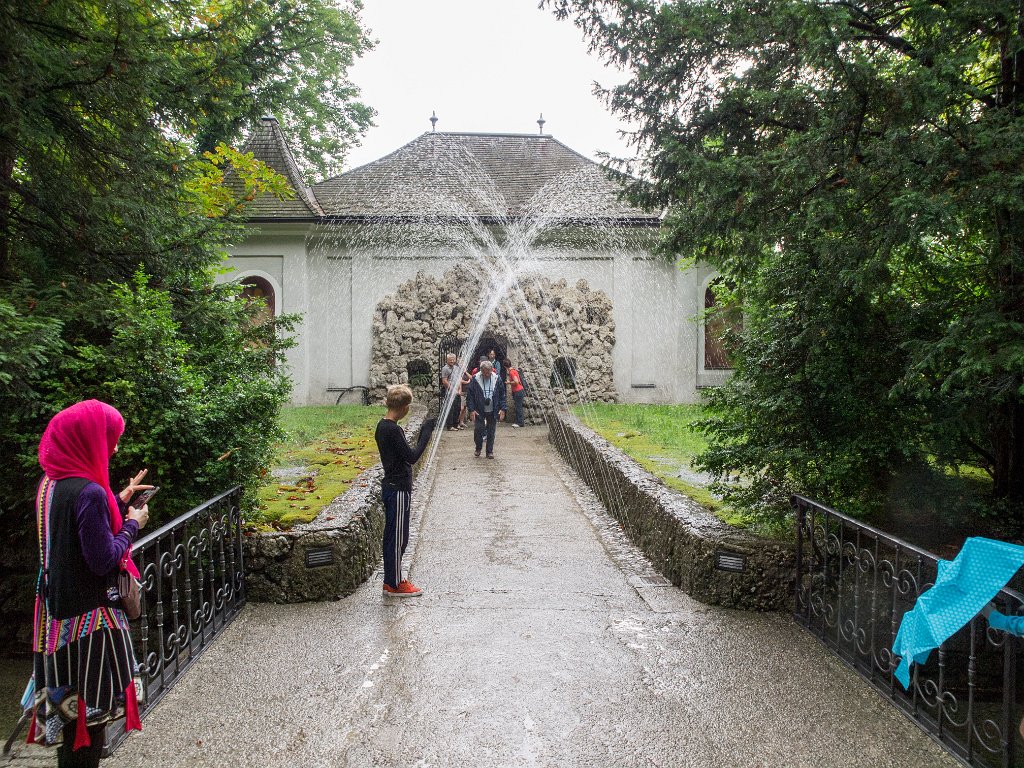 P7287245.jpg - OLYMPUS DIGITAL CAMERA