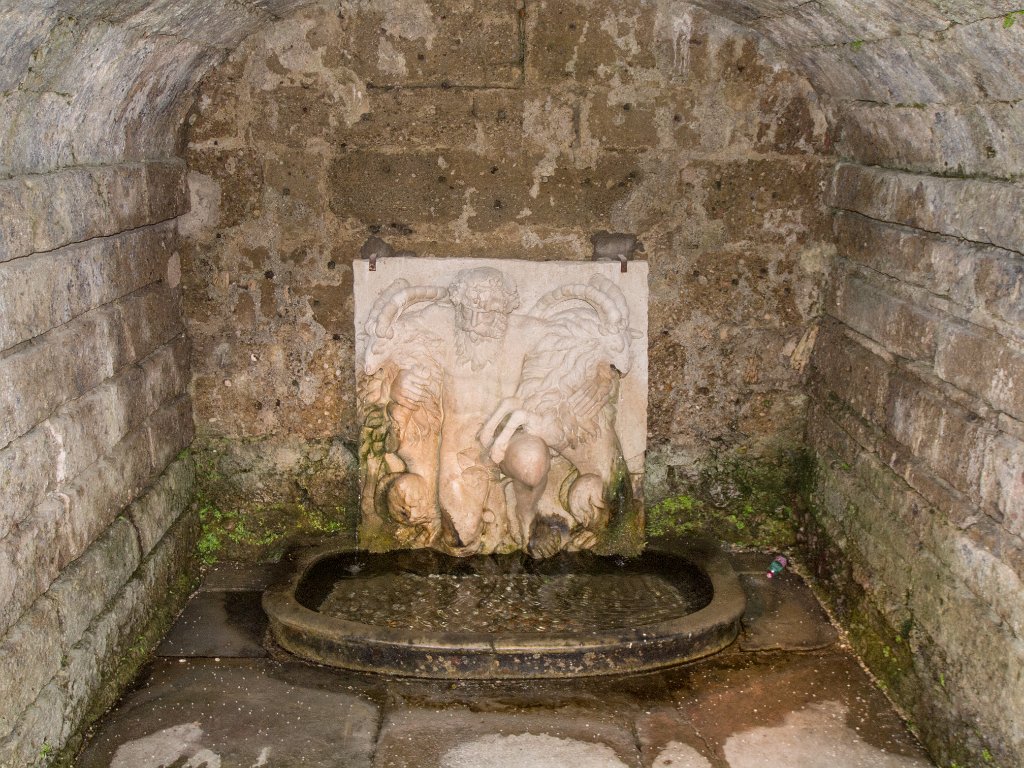 P7287288.jpg - OLYMPUS DIGITAL CAMERA