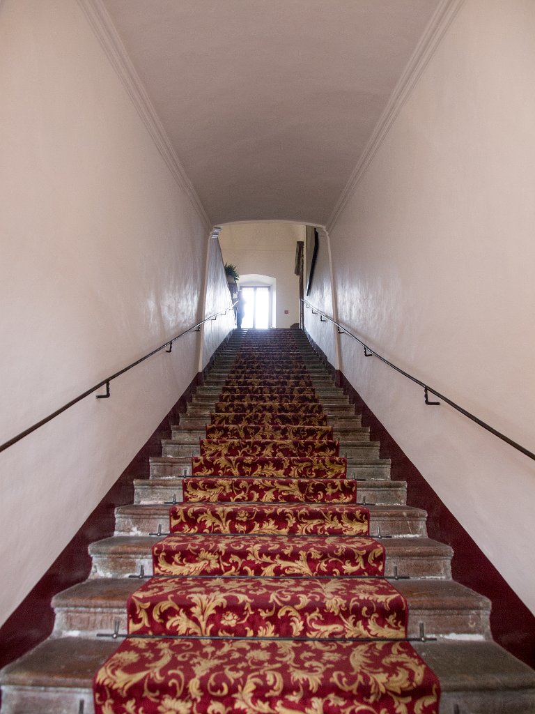 P7287295.jpg - OLYMPUS DIGITAL CAMERA