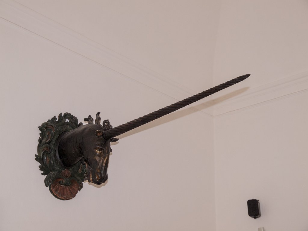 P7287322.jpg - OLYMPUS DIGITAL CAMERA