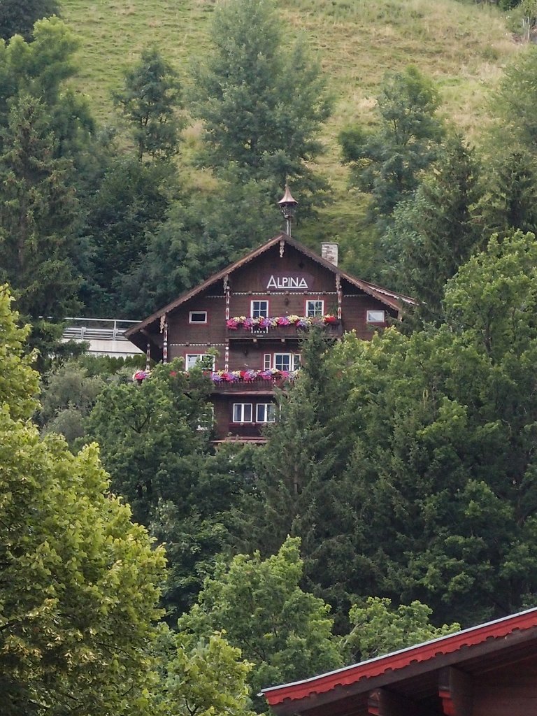 P7293159.jpg - OLYMPUS DIGITAL CAMERA