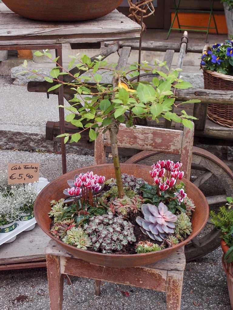 P7293182.jpg - OLYMPUS DIGITAL CAMERA