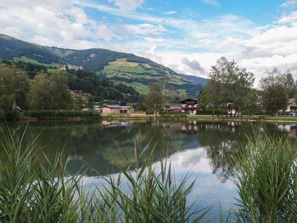 P7293224.jpg - OLYMPUS DIGITAL CAMERA