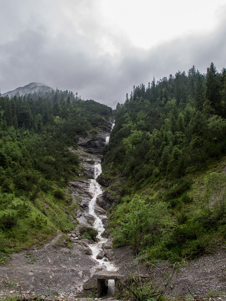 P7317426.jpg - OLYMPUS DIGITAL CAMERA