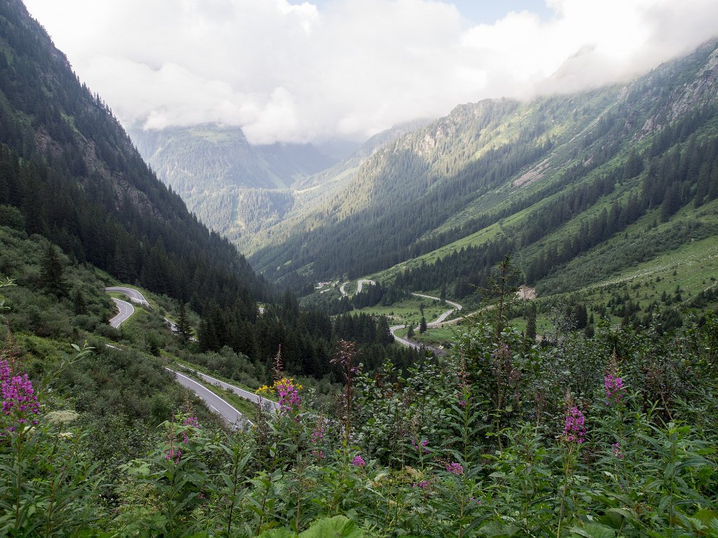 P7317544.jpg - OLYMPUS DIGITAL CAMERA