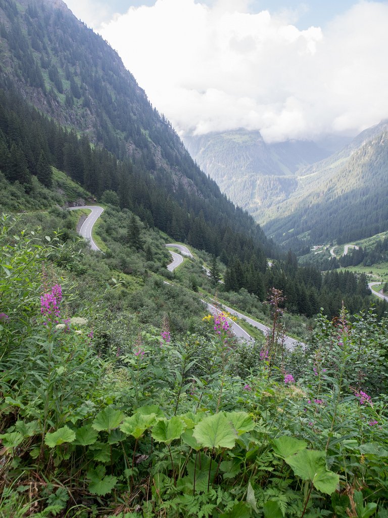 P7317545.jpg - OLYMPUS DIGITAL CAMERA