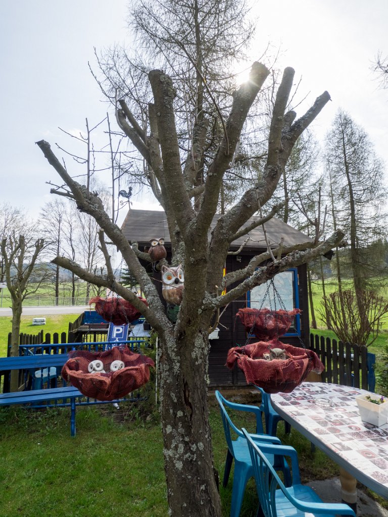 P4301188.jpg - OLYMPUS DIGITAL CAMERA