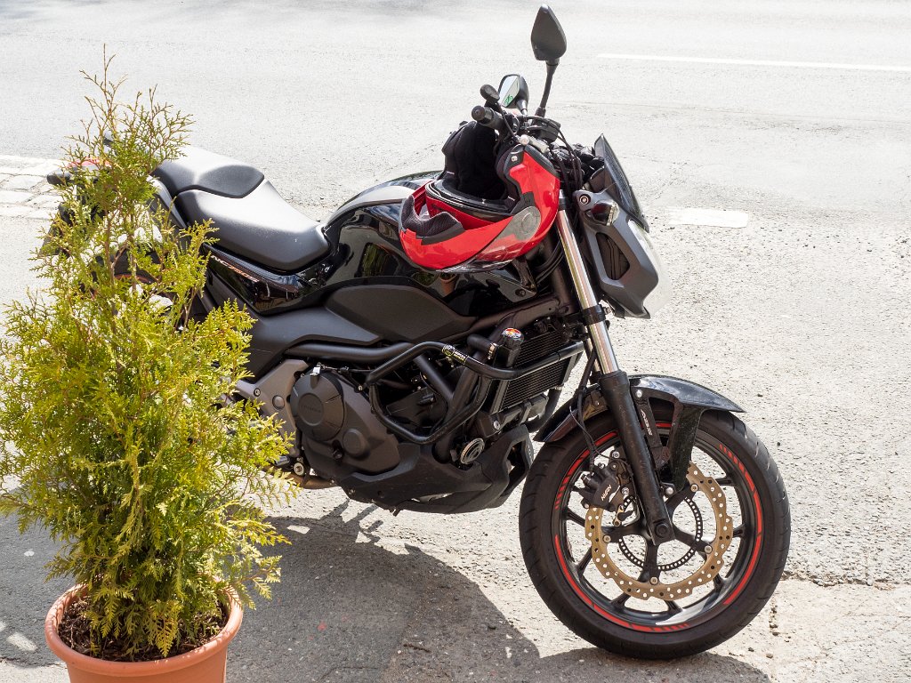 P4301247.jpg - OLYMPUS DIGITAL CAMERA