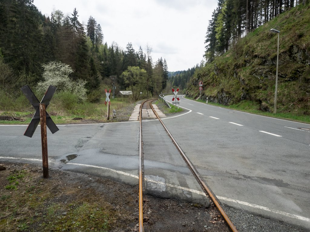 P5011314.jpg - OLYMPUS DIGITAL CAMERA