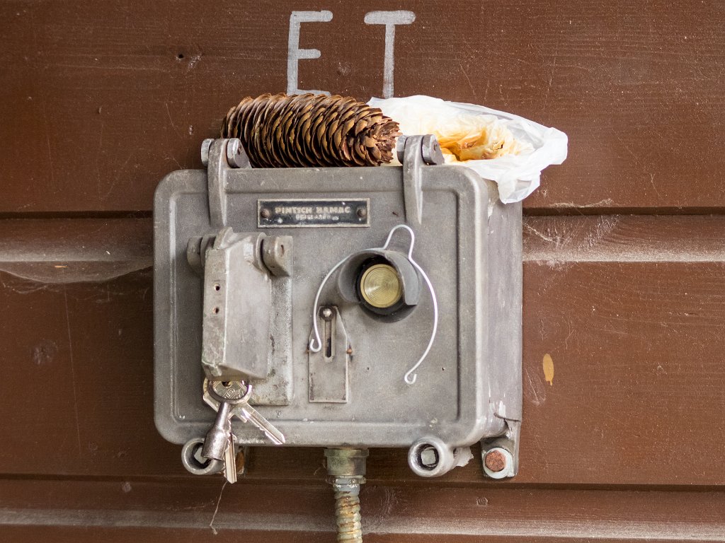 P5011505.jpg - OLYMPUS DIGITAL CAMERA