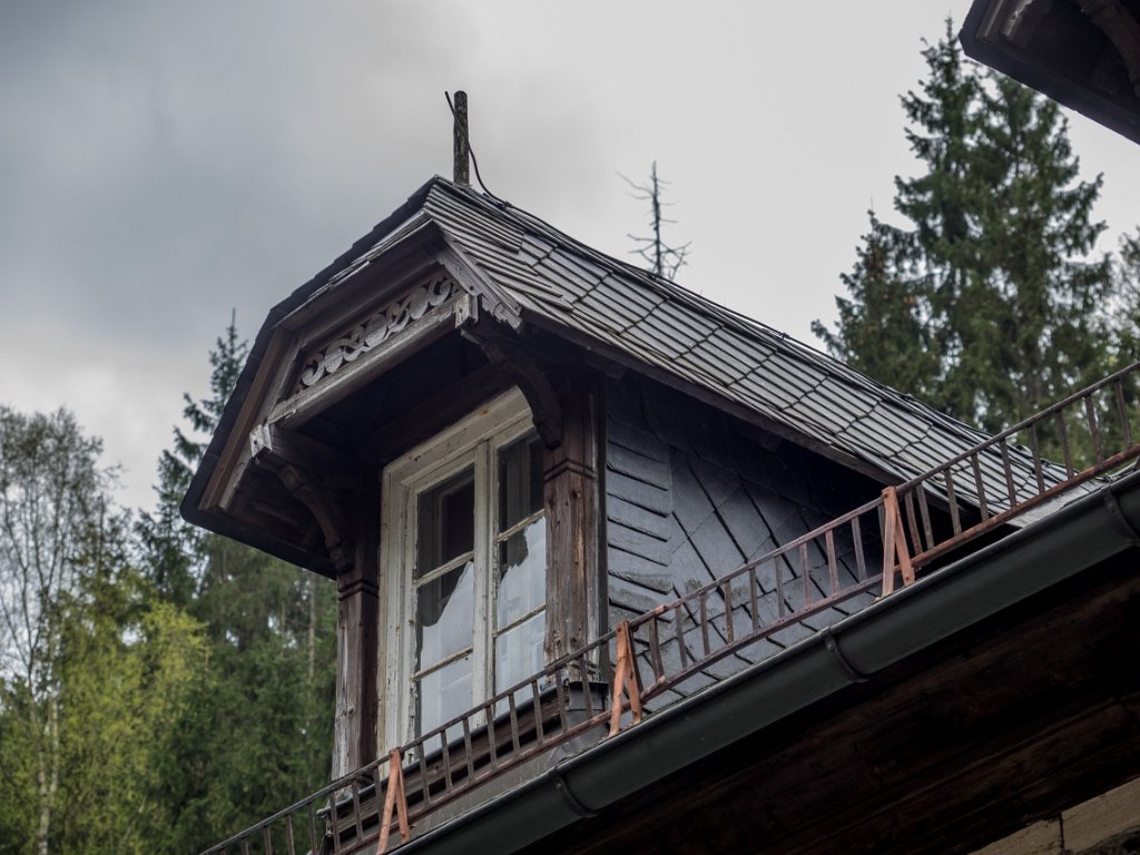 P5011542.jpg - OLYMPUS DIGITAL CAMERA