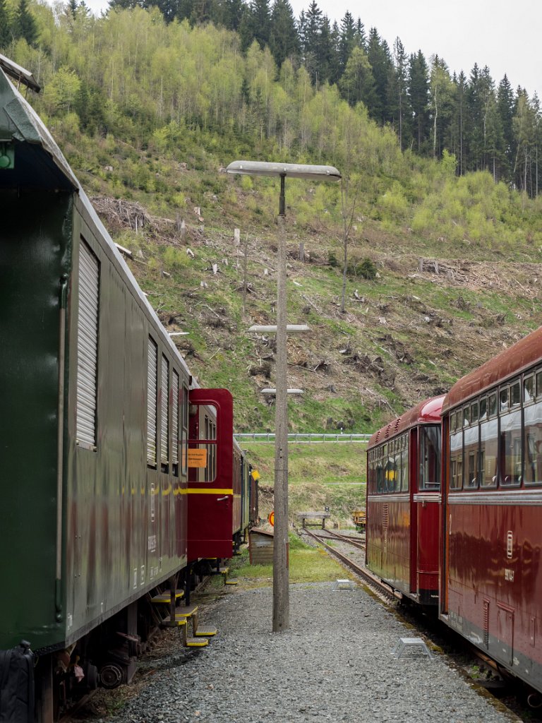 P5011544.jpg - OLYMPUS DIGITAL CAMERA