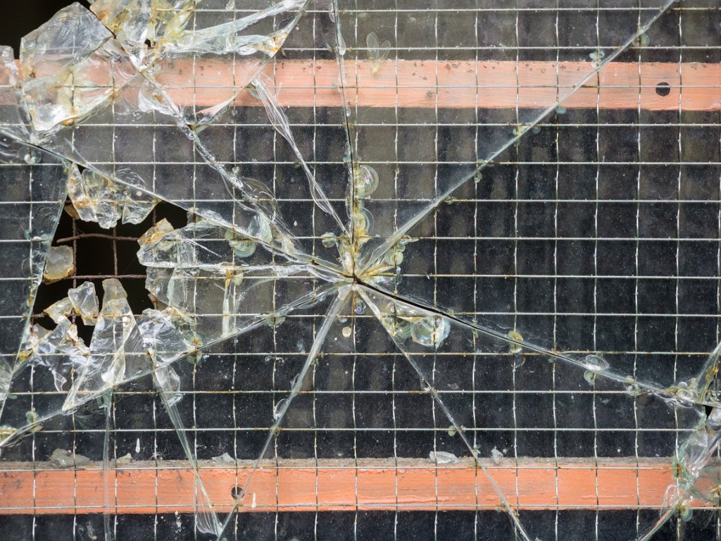 P5011604.jpg - OLYMPUS DIGITAL CAMERA