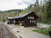 P5011335