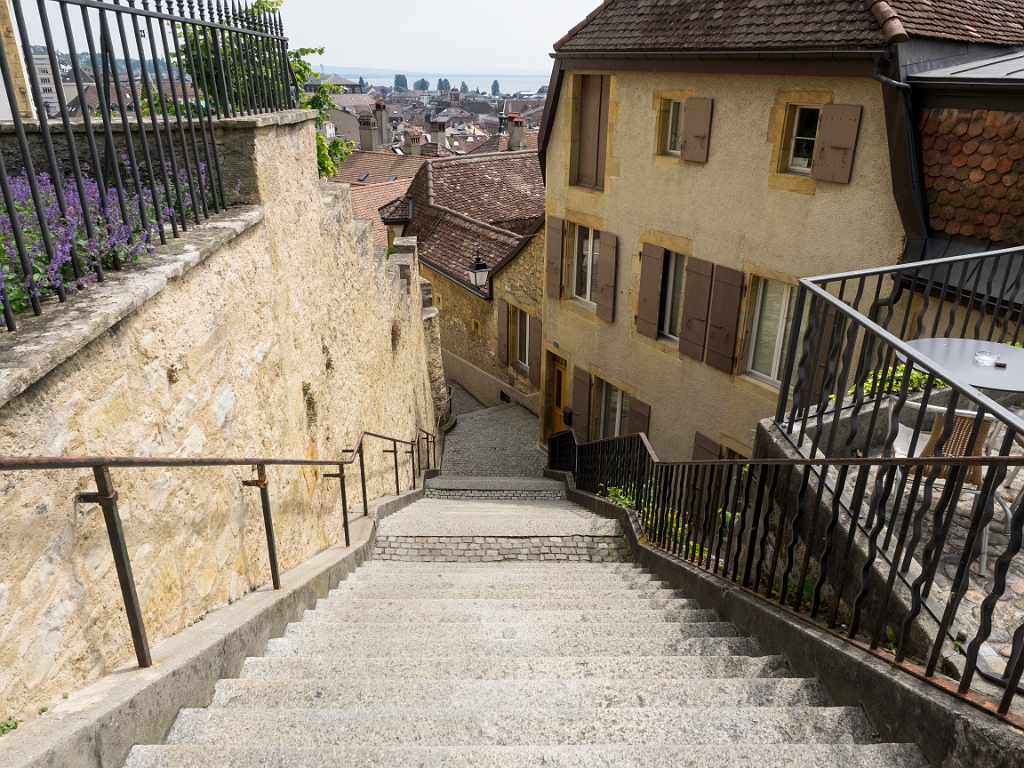 P5233075.jpg - OLYMPUS DIGITAL CAMERA