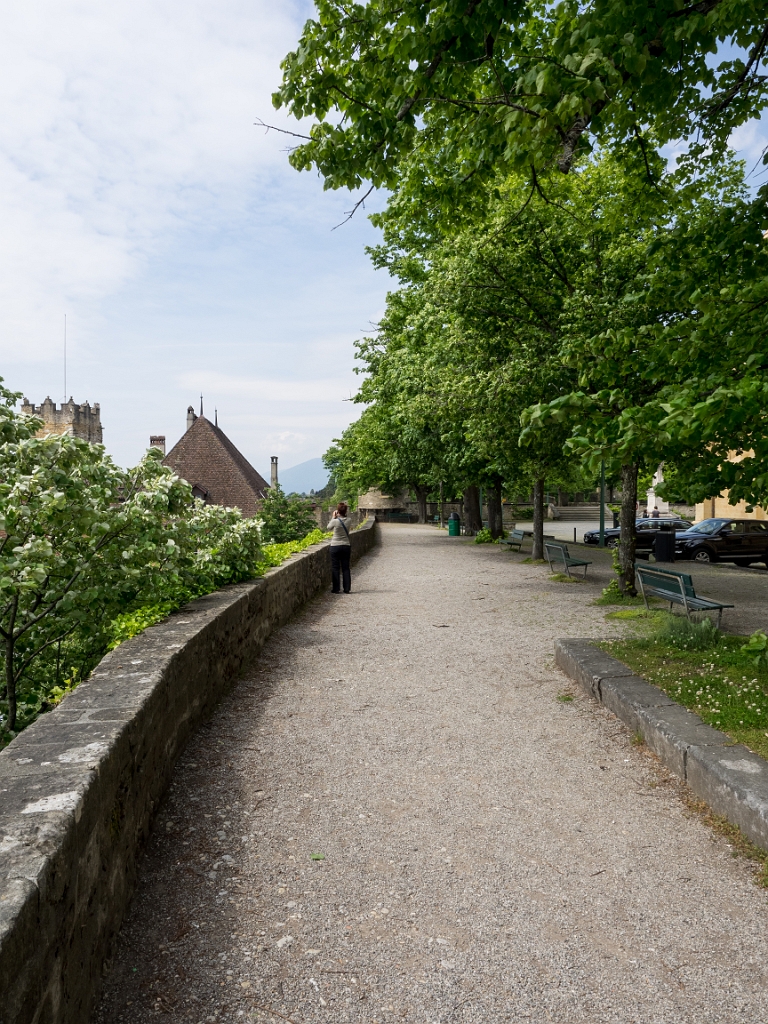 P5233082.jpg - OLYMPUS DIGITAL CAMERA