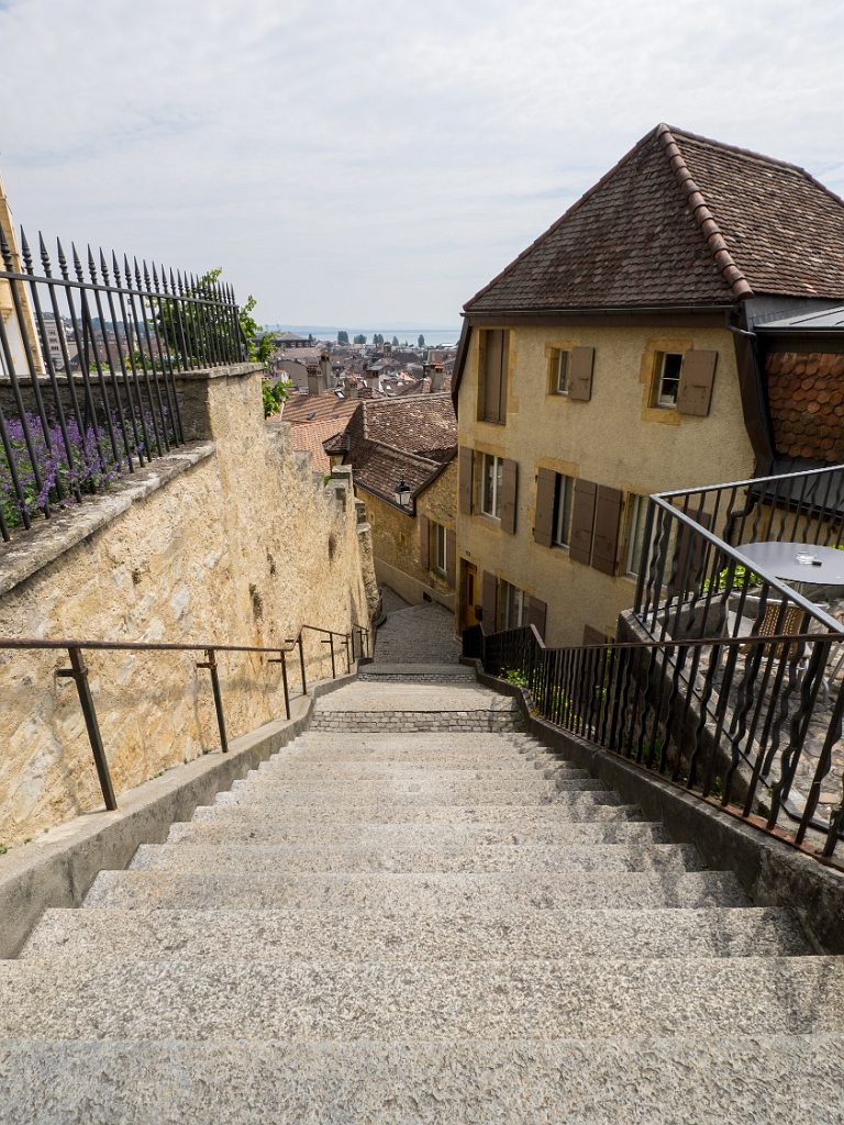 P5233093.jpg - OLYMPUS DIGITAL CAMERA