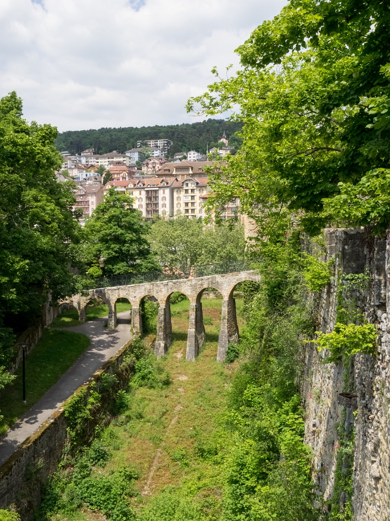 P5233146.jpg - OLYMPUS DIGITAL CAMERA