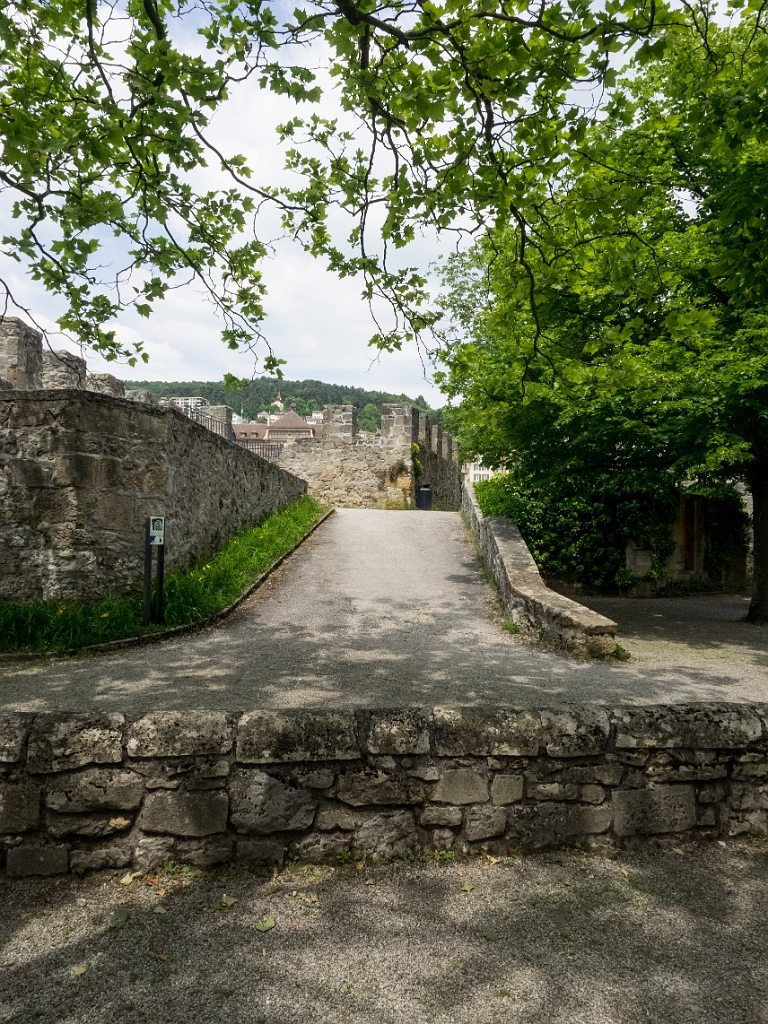 P5233155.jpg - OLYMPUS DIGITAL CAMERA