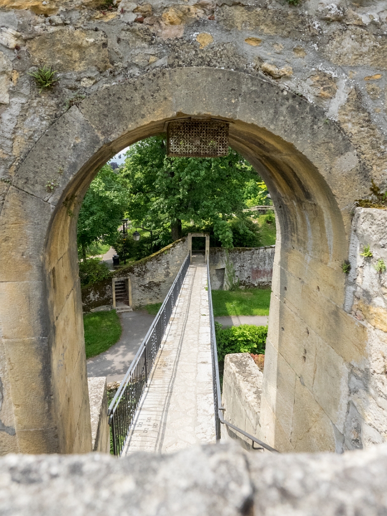 P5233162.jpg - OLYMPUS DIGITAL CAMERA