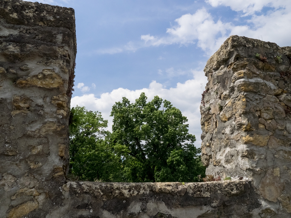 P5233169.jpg - OLYMPUS DIGITAL CAMERA