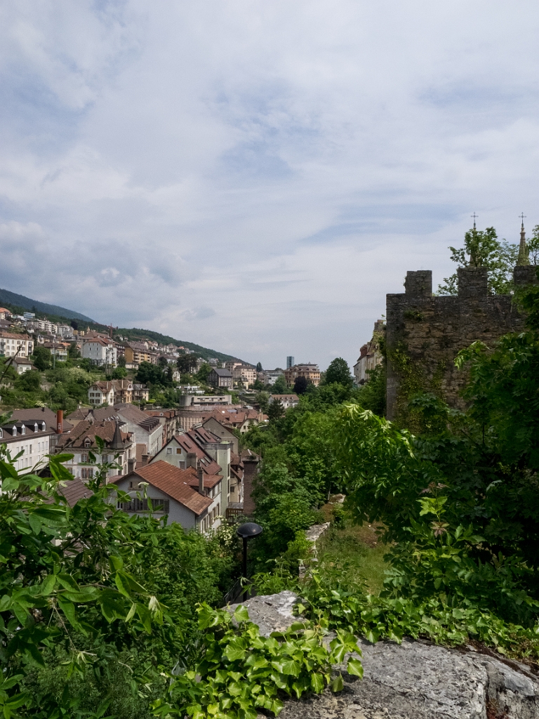 P5233181.jpg - OLYMPUS DIGITAL CAMERA