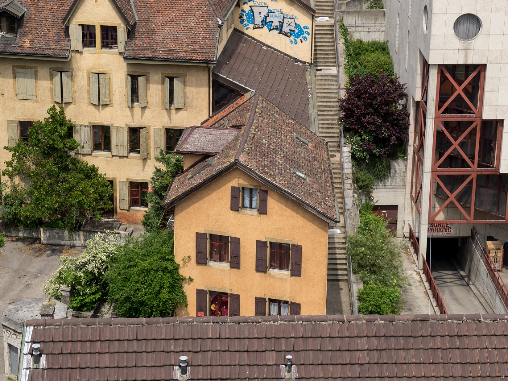 P5233197.jpg - OLYMPUS DIGITAL CAMERA