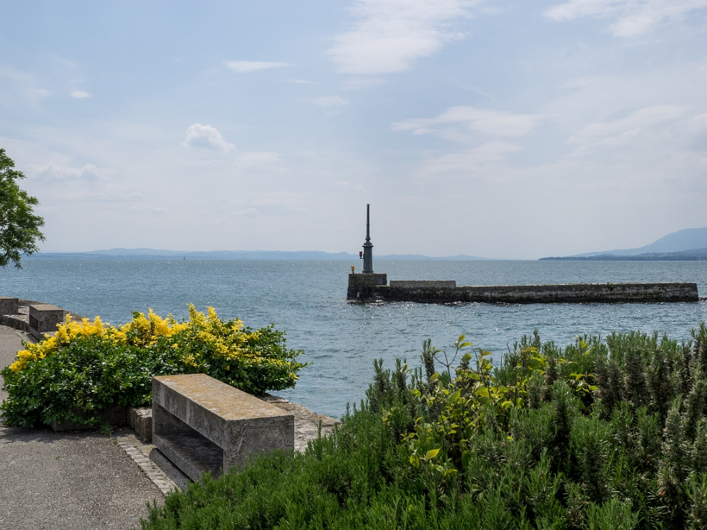 P5233225.jpg - OLYMPUS DIGITAL CAMERA