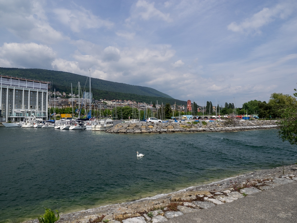 P5233242.jpg - OLYMPUS DIGITAL CAMERA