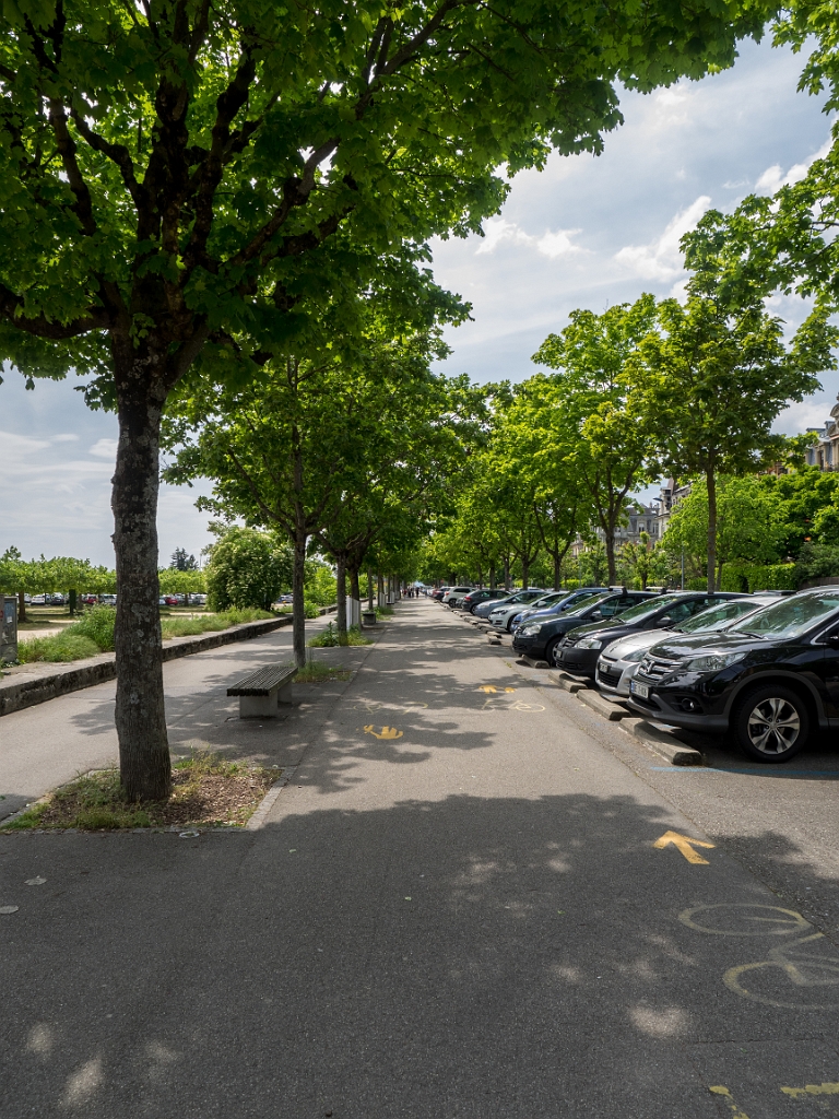 P5233323.jpg - OLYMPUS DIGITAL CAMERA