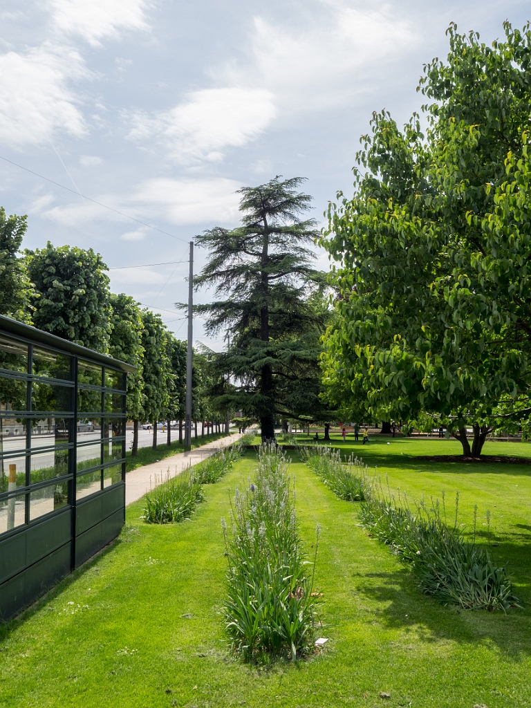 P5233328.jpg - OLYMPUS DIGITAL CAMERA