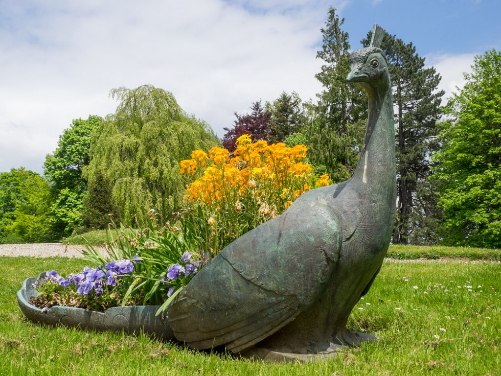 P5243683.jpg - OLYMPUS DIGITAL CAMERA