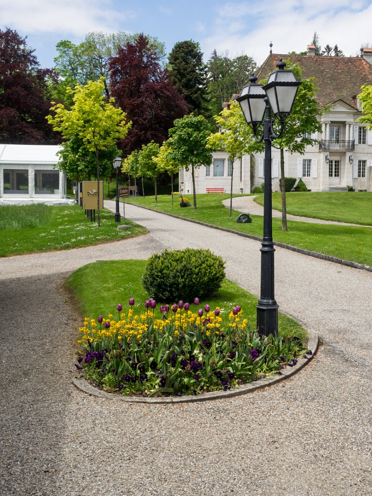 P5243689.jpg - OLYMPUS DIGITAL CAMERA