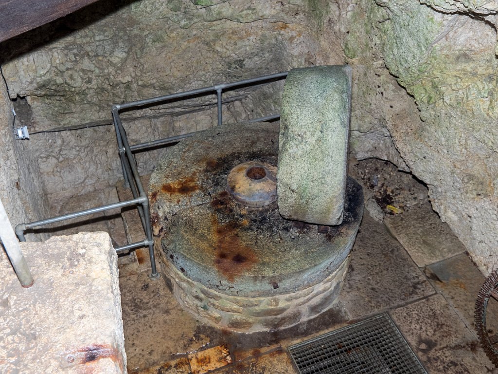 P5243443.jpg - OLYMPUS DIGITAL CAMERA