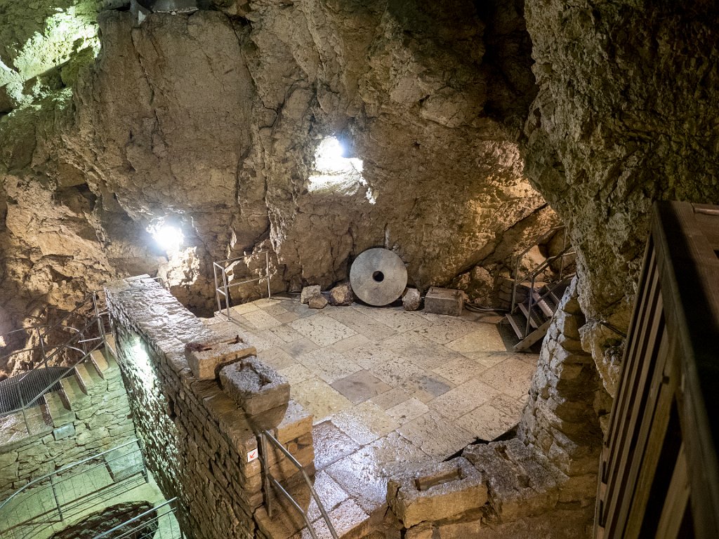 P5243455.jpg - OLYMPUS DIGITAL CAMERA