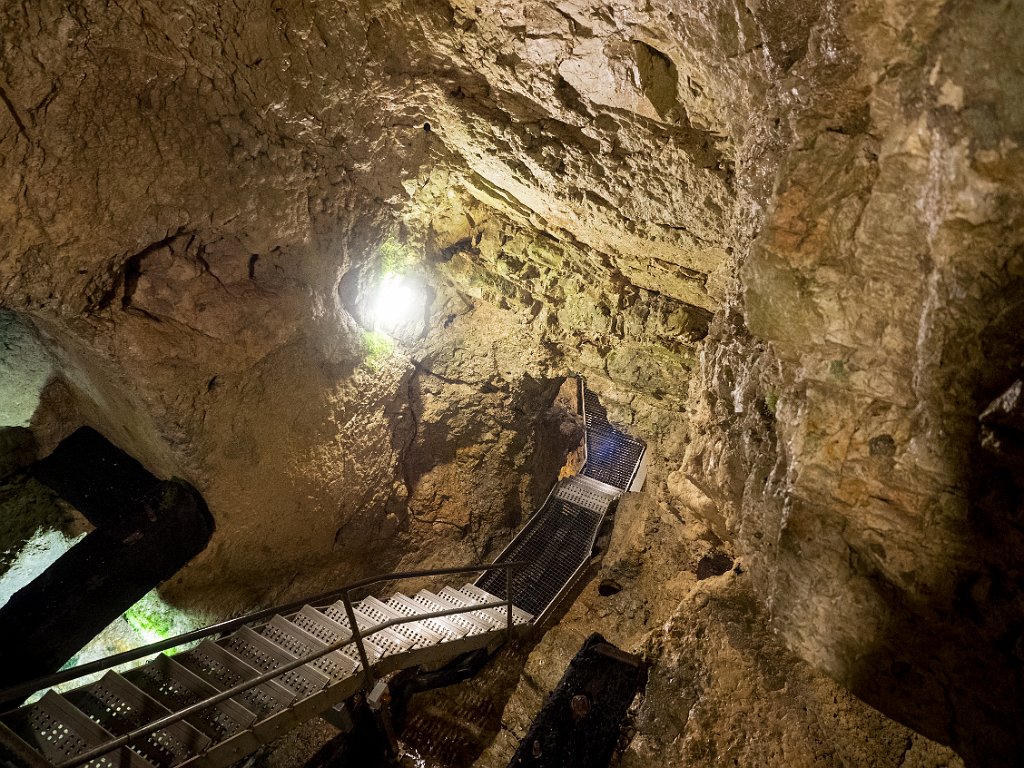 P5243502.jpg - OLYMPUS DIGITAL CAMERA