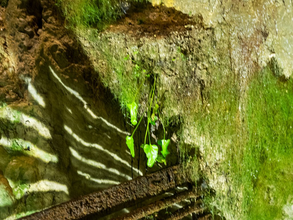 P5243513.jpg - OLYMPUS DIGITAL CAMERA